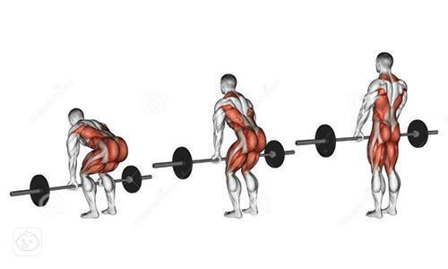 如何让自己的背部变薄,背部怎么变宽变厚