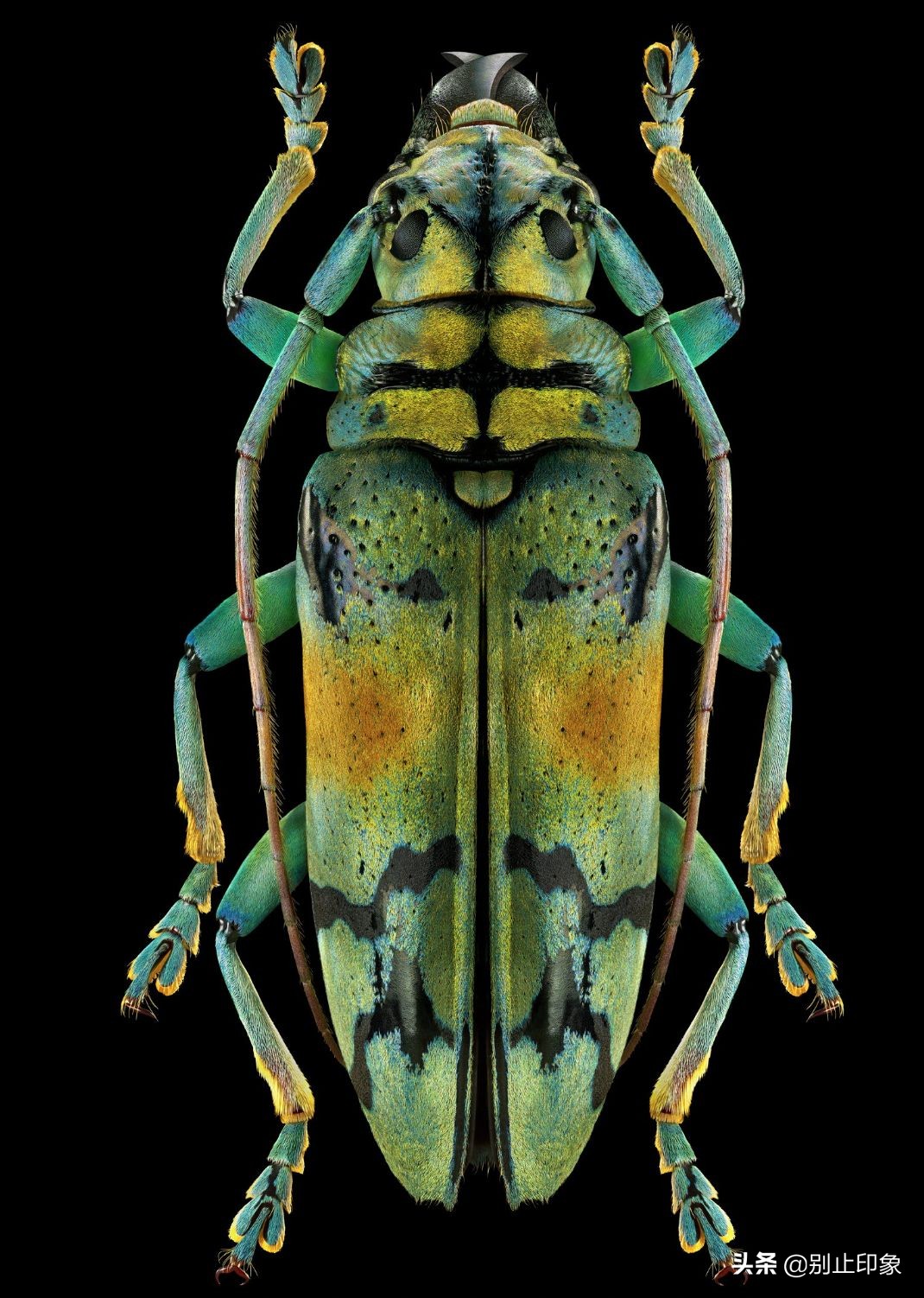 2400像素的画质,像素高就是画质清晰吗