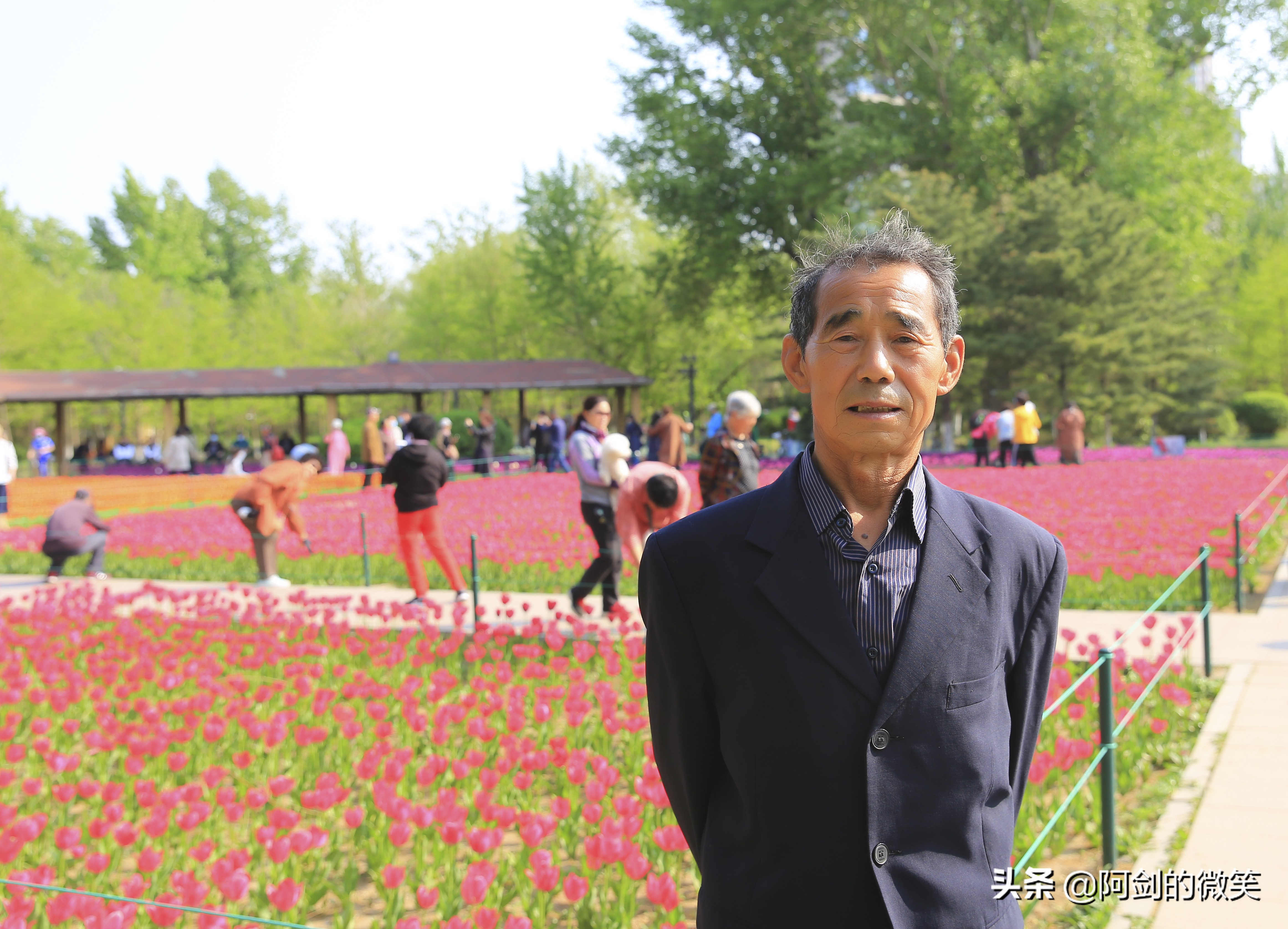 沈阳北陵公园旅游团,今天的沈阳北陵公园