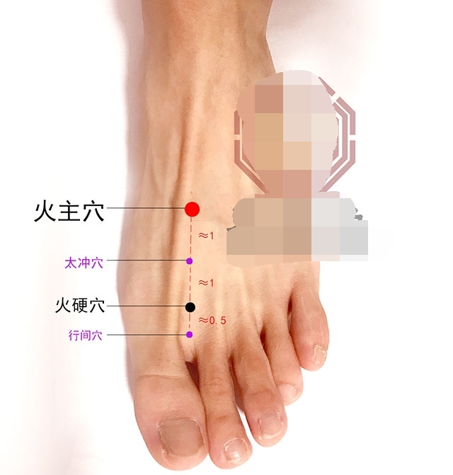 耳朵经常嗡嗡响可以中医针灸吗,耳朵乳突炎能针灸治疗治愈吗