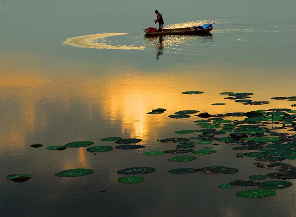 洞庭湖最大的湖中岛,与洞庭湖齐名的三大湖