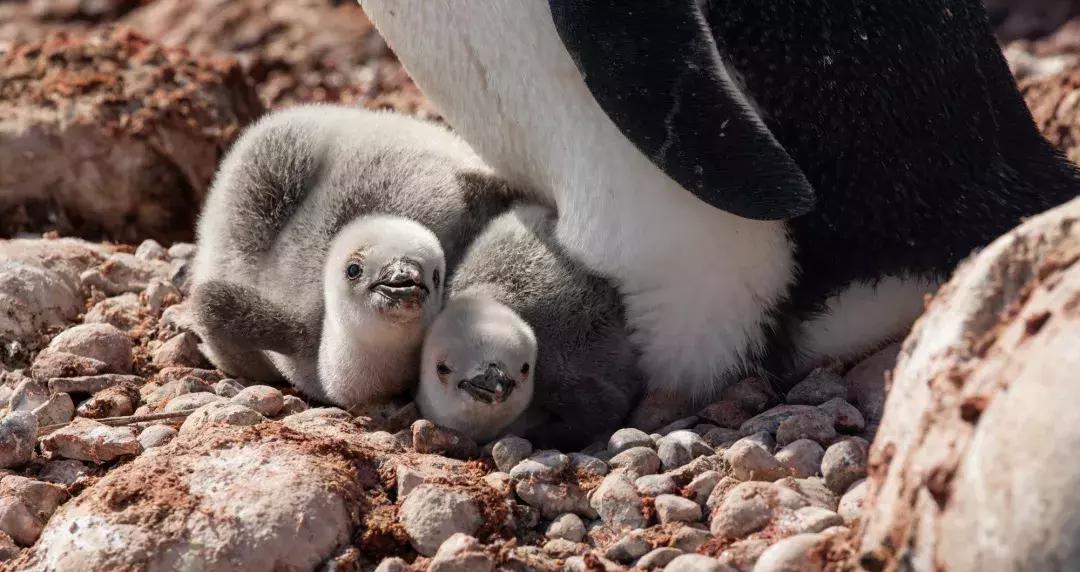 皮艇上漂流,皮筏艇海上