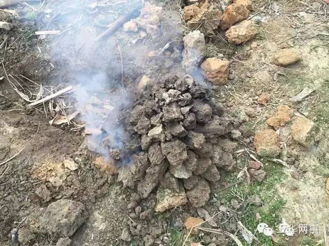 美丽的五华县,五华我可爱的家乡