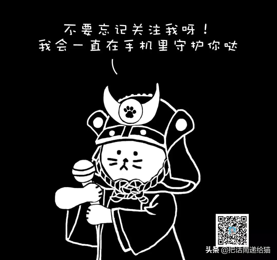猫故事书籍,猫故事小说