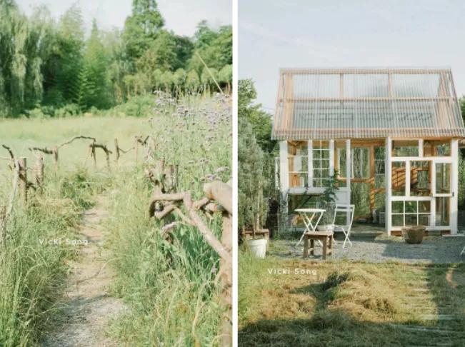 最会说情话的人全集,最会说情话的人