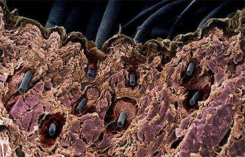 沙宣洗发水为什么头发油油的,沙宣洗发水非常的软塌