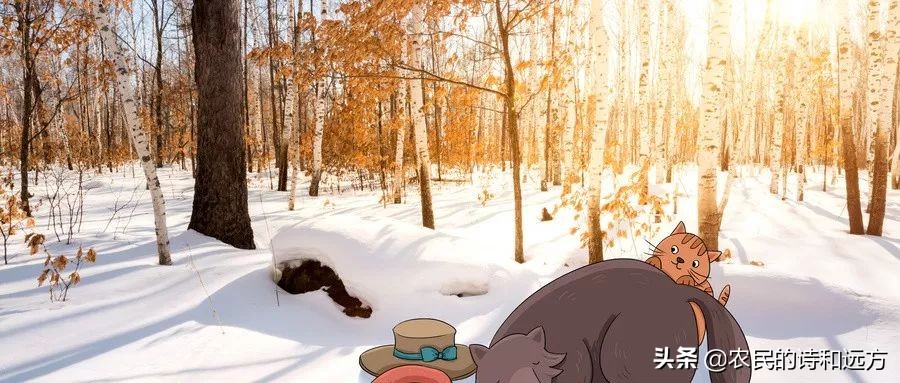 描写冬天的好词好句二年级,关于冬天的好词好句和诗句