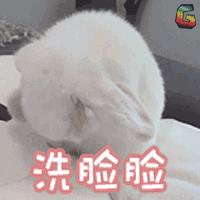 高丝softymo洗面奶成分,高丝softymo洗面奶测评