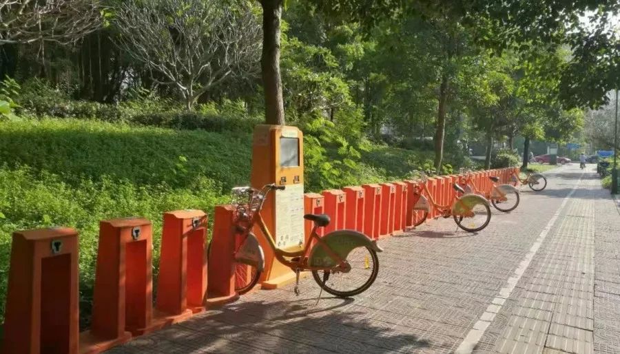 关于暂停市公共交通服务的通告,公共自行车站点暂时停用通知