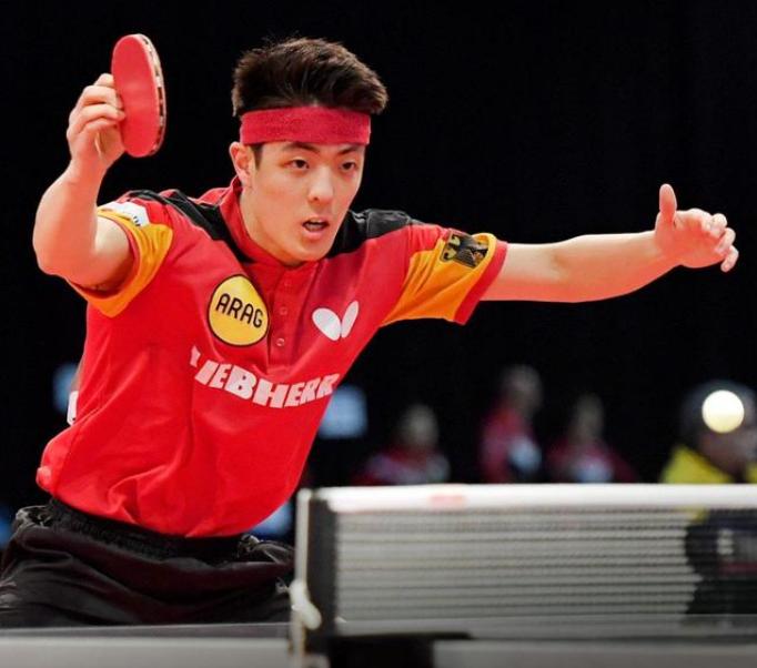 日本男乒单打张本智和遭团灭,日本男乒全军覆没完整版