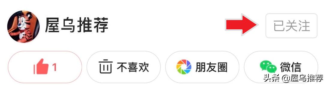 德国乙级联赛比分,足球推荐德乙汉堡vs纽伦堡