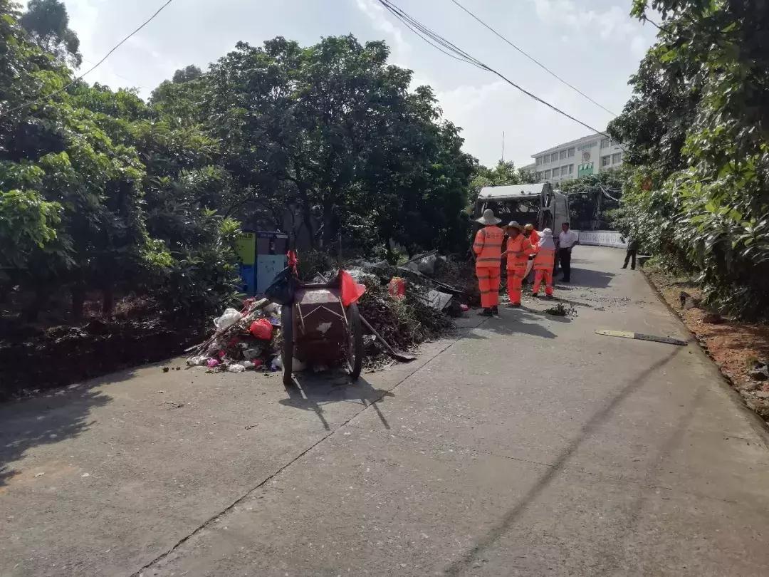 我市两镇获评国家卫生乡镇,争创省级卫生镇