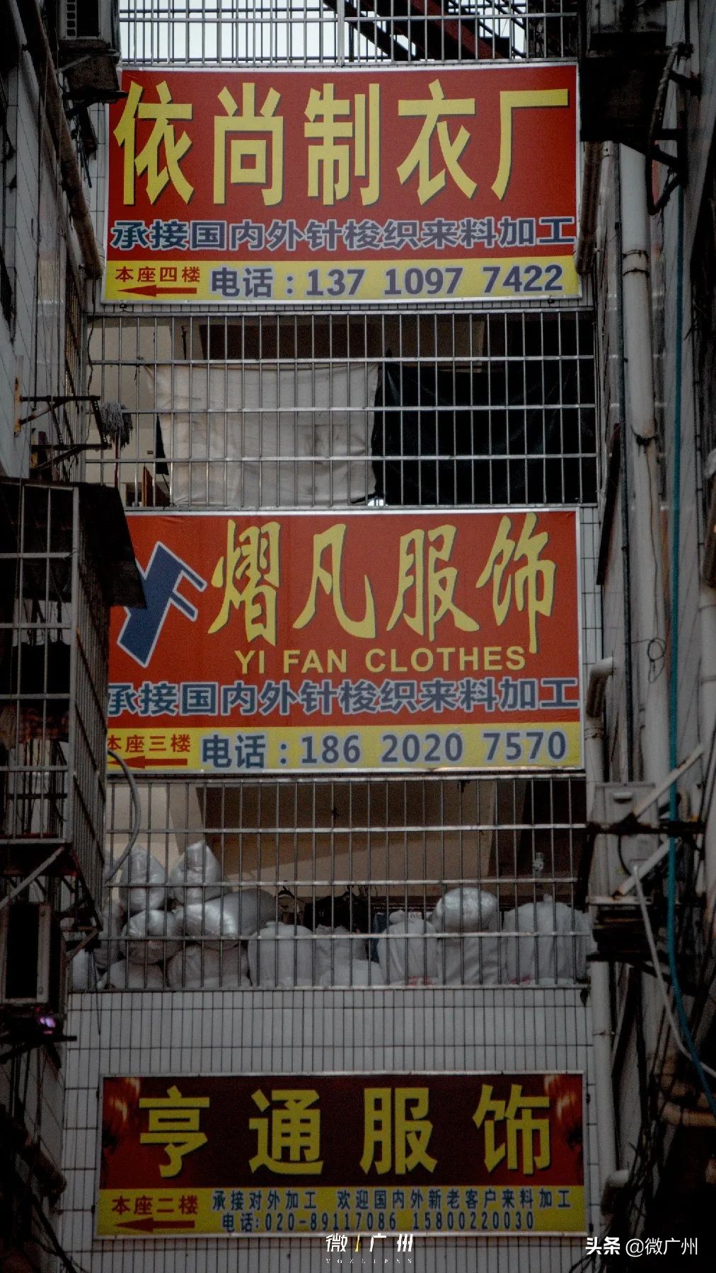 用10张照片结束我的深圳之旅,用39张照片结束我的武汉之旅