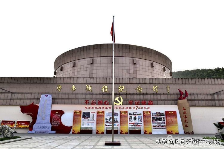 济南一颗梧桐树,济南的法国梧桐