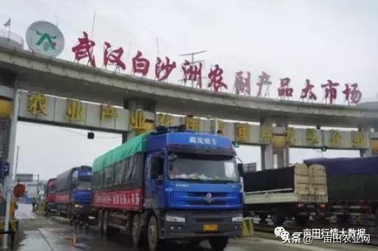 行情好的蔬菜,现在蔬菜市场行情