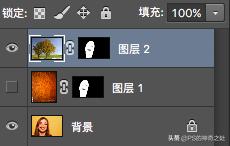 ps鎬庝箞閫変腑钂欑増,ps钂欒鐗堟湁鍝簺