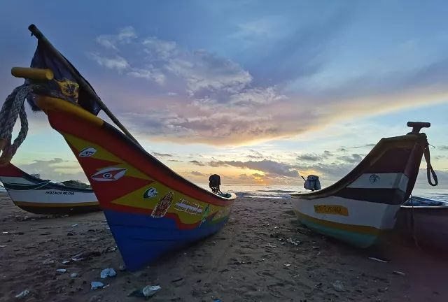 进博会印度今年有什么产品,印度人评进博会带货