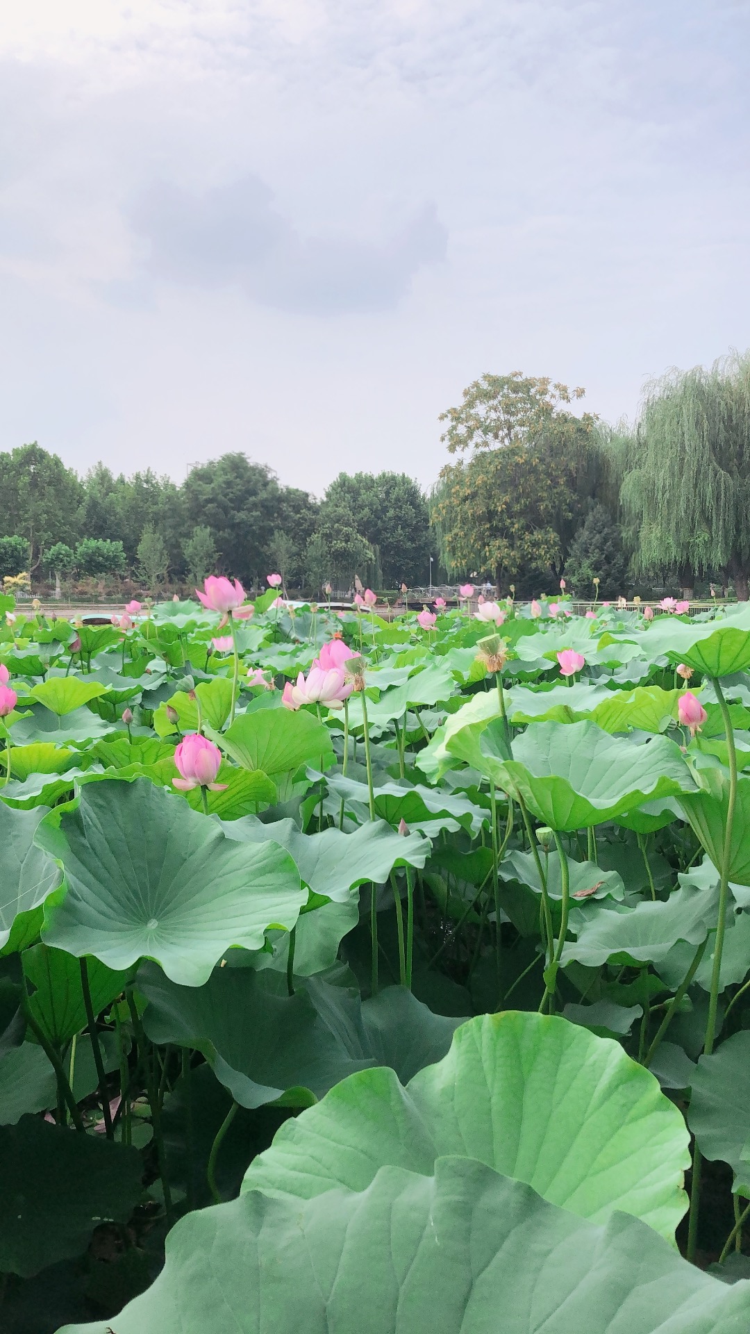 起诉离婚需要准备什么材料,起诉离婚需要准备什么手续