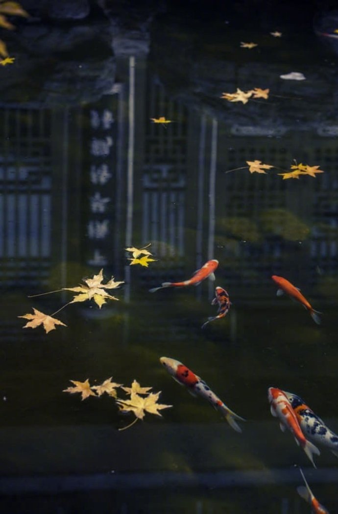 万壑千岩锁翠烟赏析,万壑千岩图片