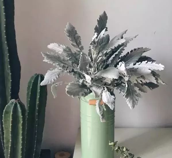 插花花材的固定技巧,三种花材插花教程新手入门