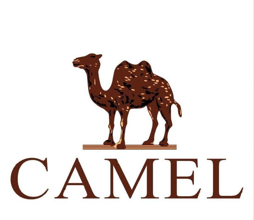 盘点那些披着羊皮的山寨洋品牌，它们都是国产货！