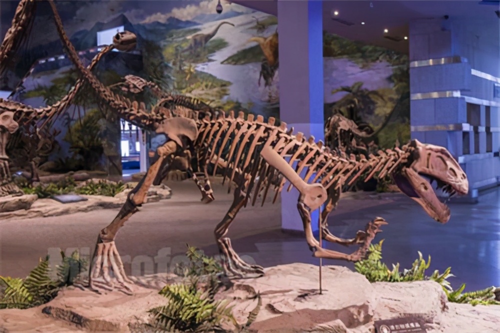 史前电鳗能放出多少电,为什么说电鳗灭绝了