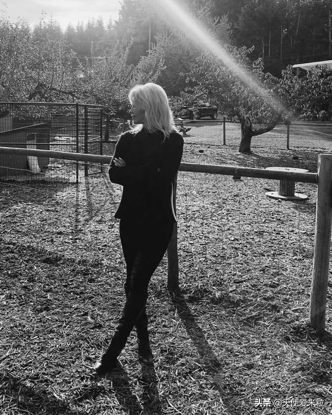 53岁结婚5次嫁给前世界首富,帕米拉·安德森丈夫