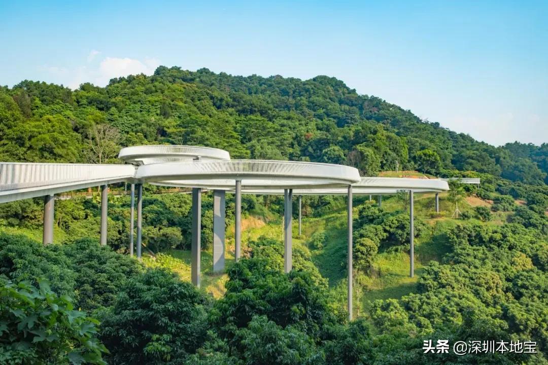 深圳完全免费的十大景点,深圳10大免费景点上集