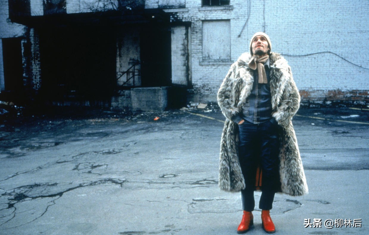 璞嗙摚鐢靛奖鐢熸棩蹇箰,璞嗙摚2022骞寸數褰辨帓琛屾top10