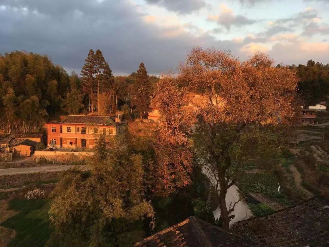 一个泉州小伙的中国荒村启示录