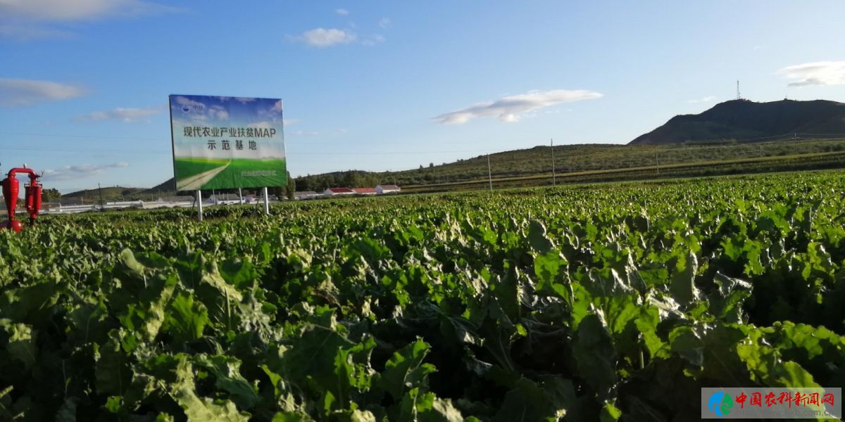 中化农业map模式是什么意思,中化农业map技术服务中心