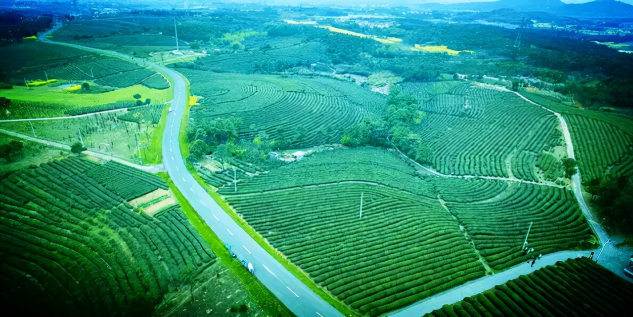 南京小众景点,南京小众花园秘境