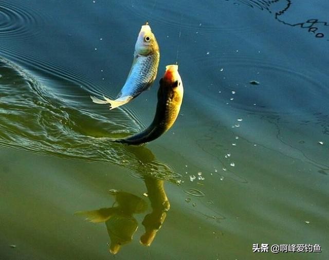 橡皮船钓鱼如何配置钓具视频,钓鱼技巧钓鱼装备渔具选择