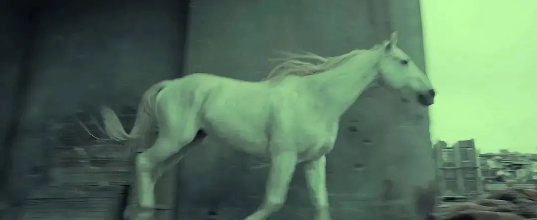 张俊一哭了,张俊一小时候