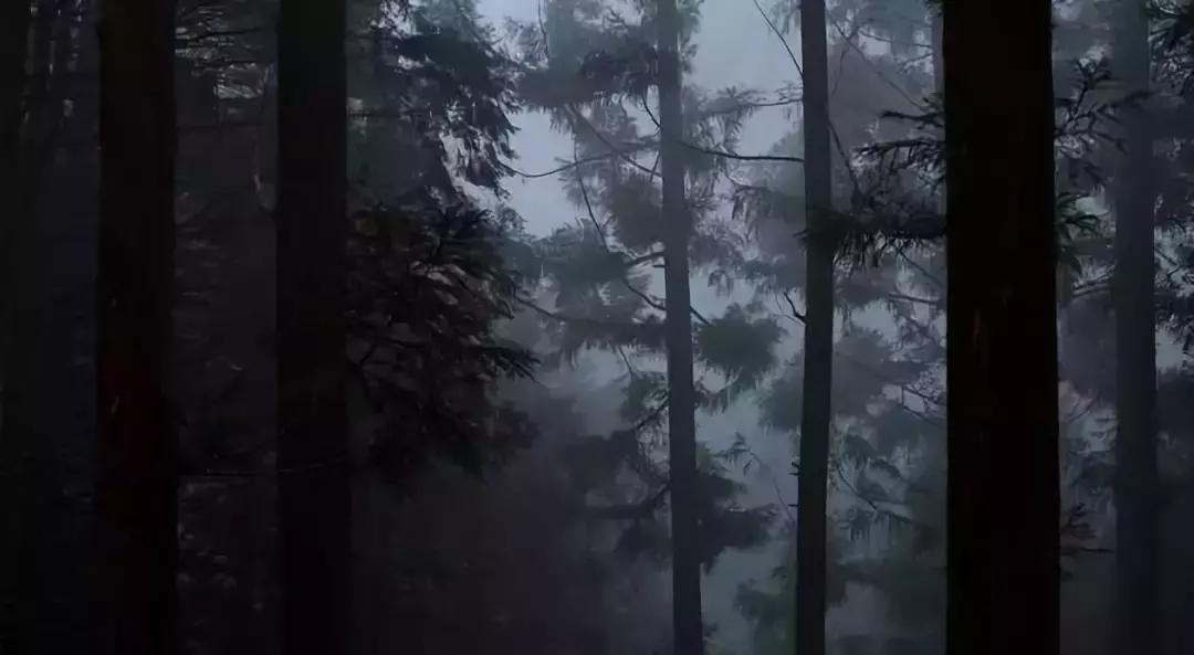 涂上它,你就是行走的*药春**