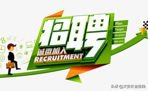 文安在线招聘,文安县招聘信息平台
