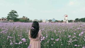 迟到的618好物推荐,618影像神器