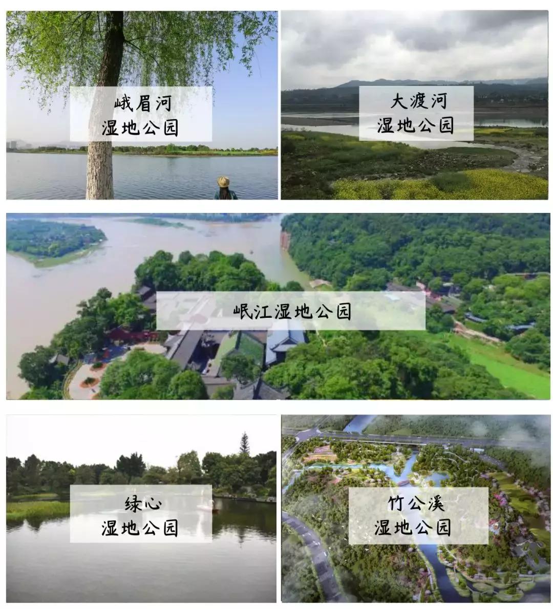 乐山大佛为何不属于石窟,乐山不止有大佛还有美食