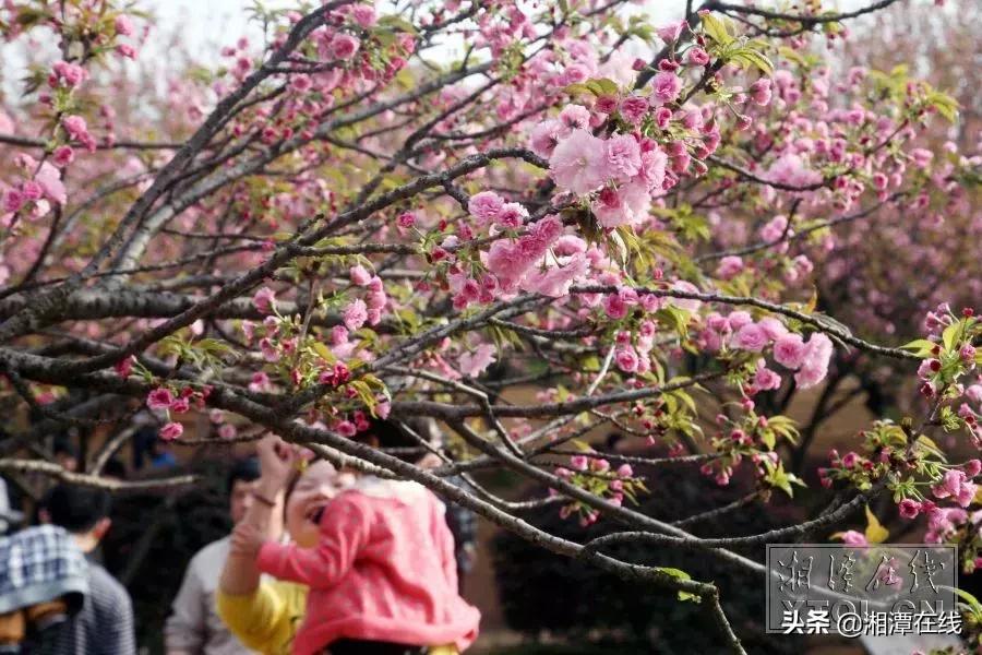 真实的湘潭现状,湘潭有哪些缺点