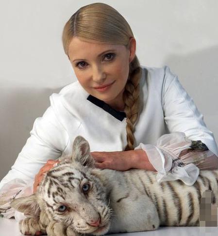 铔囪潕缇庝汉瀛ｈ帿鐢崇涓婁綅,瀛ｈ帿鐢崇铔囪潕缇庝汉