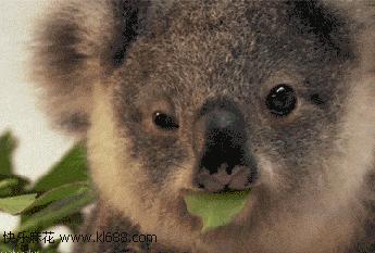 注意身体这几个地方不能洗,医生建议三处不要频繁清洗