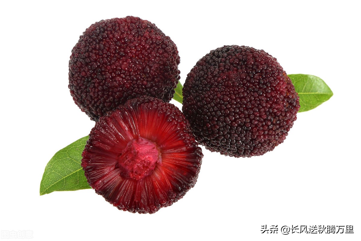 怎样鉴别杨梅是坏的,真假杨梅区别