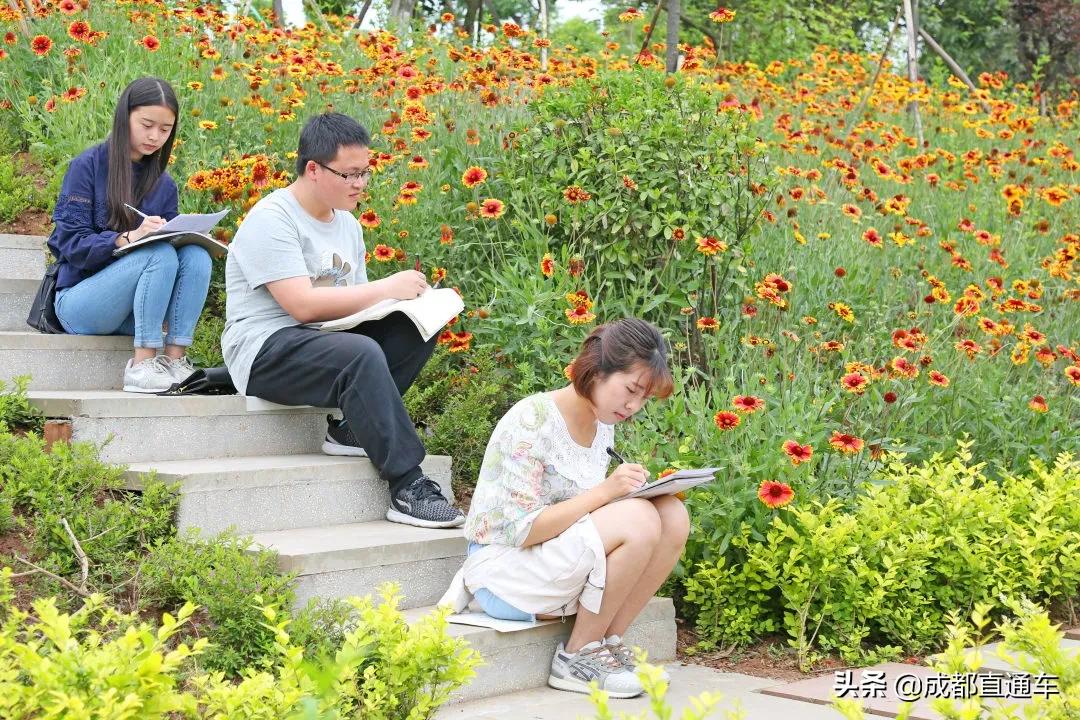 花开的季节合唱视频,花开的季节和你相遇