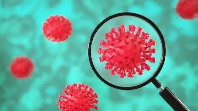 哪些人容易感染hpv,小男孩容易感染hpv病毒吗