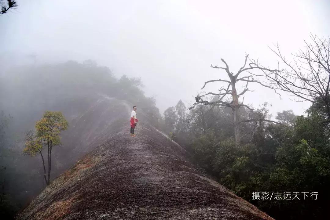 悠然三明：梅列瑞云山为佛，葡萄美酒配熏鸭