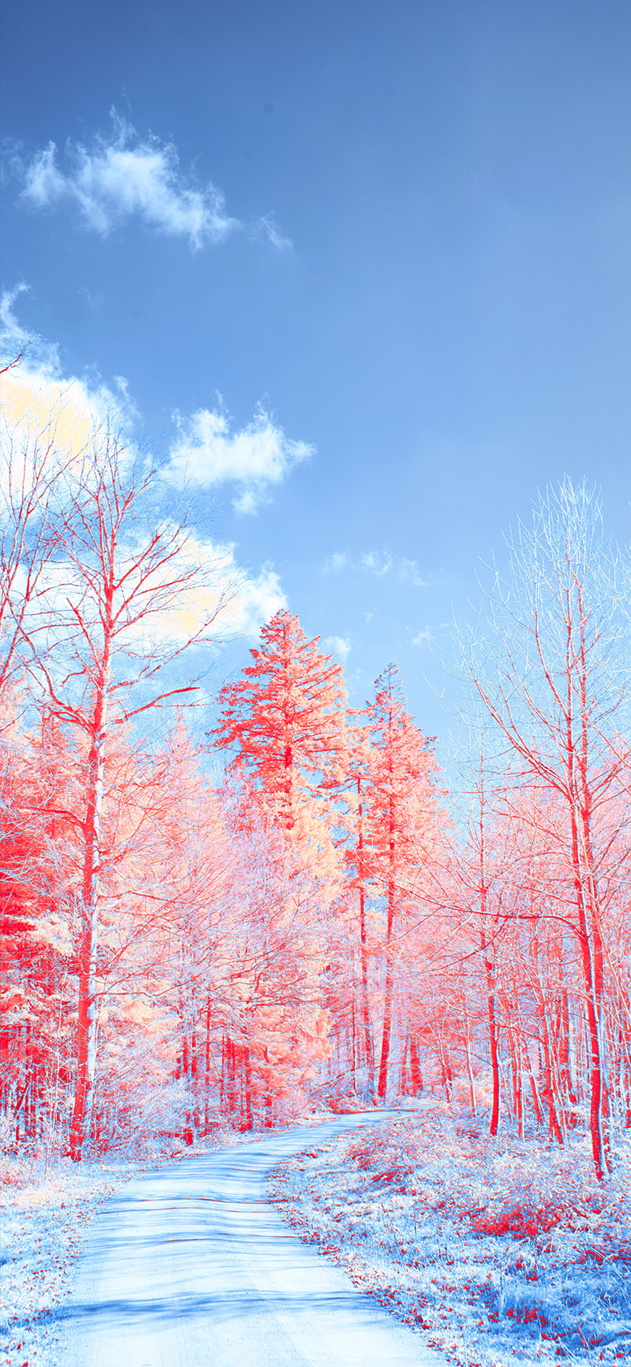 手机壁纸全屏高清抖音最火壁纸,iphone15壁纸原生超清4k美女风景