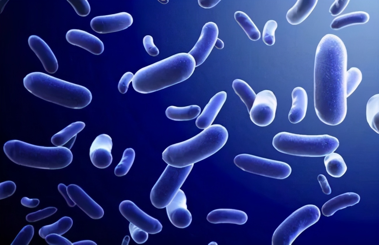 口臭是胃不好吗怎么调理,口臭是因为胃不好吗怎么缓解