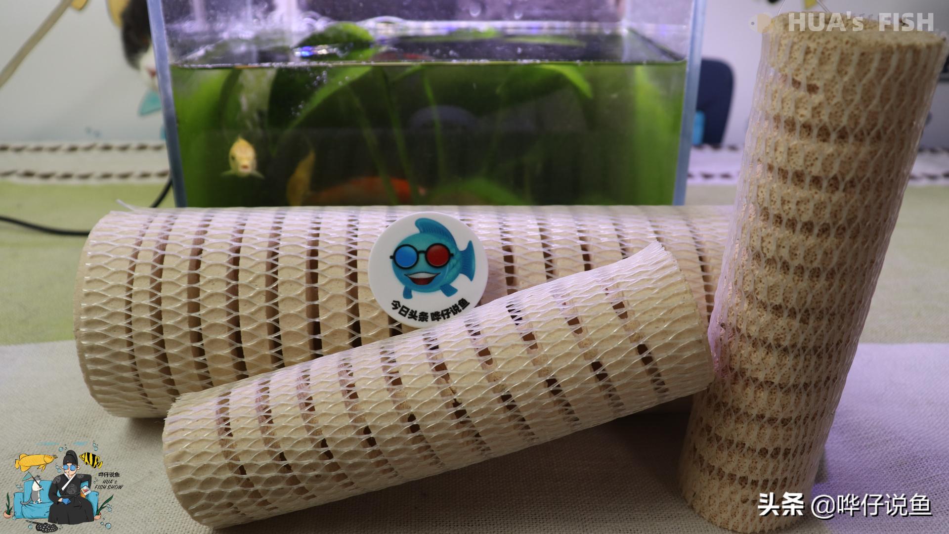 细菌屋滤材普通和石英哪种好,细菌屋滤材小号的还是大号的好