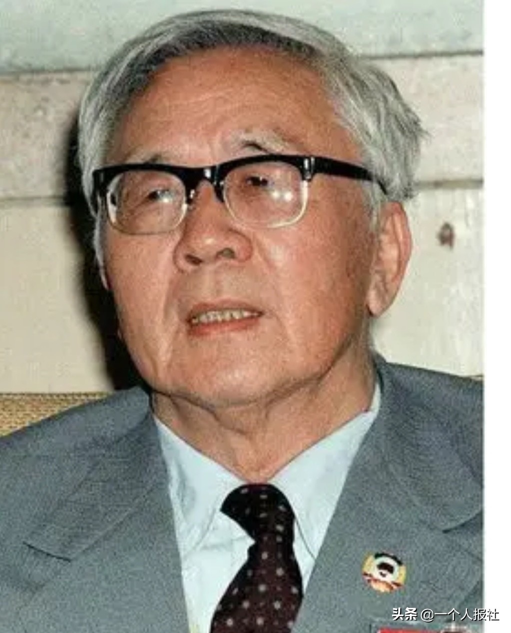 数学名人推崇的数学牛人,中国的数学大家