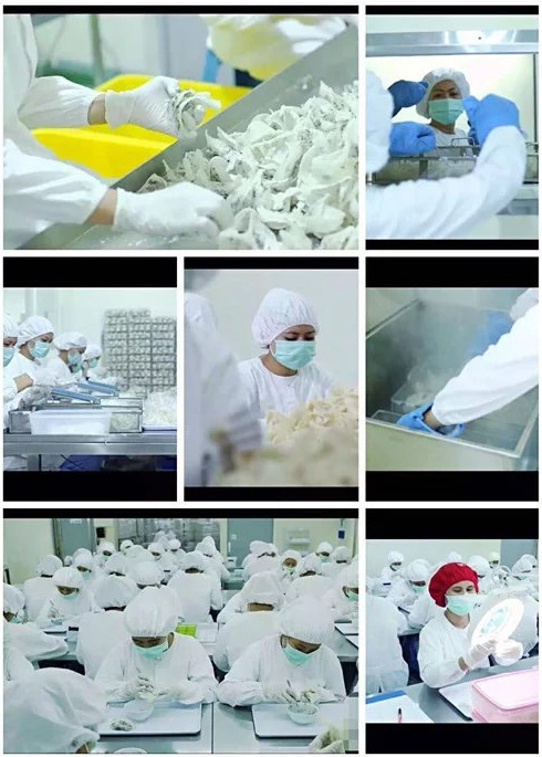 真假燕窝的快速鉴别方法,燕窝造假现场